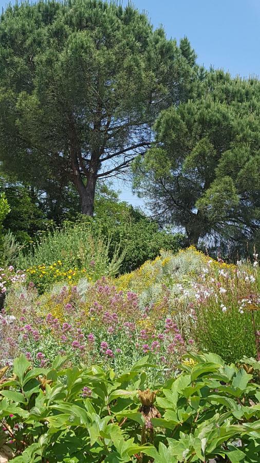Au calme chez l'habitant Foulayronnes Esterno foto