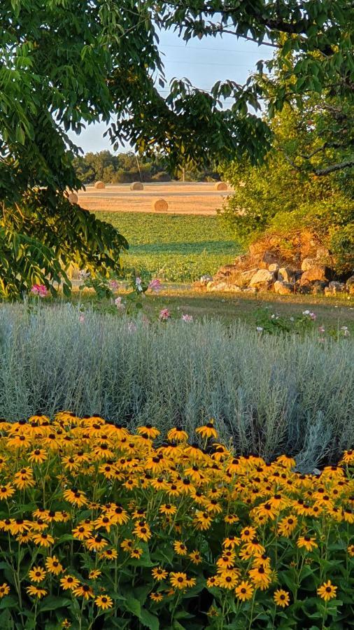 Au calme chez l'habitant Foulayronnes Esterno foto